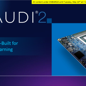 Demo - INTEL Gaudi 2 Consulting